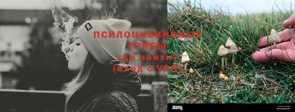ГАЛЛЮЦИНОГЕННЫЕ ГРИБЫ Володарск