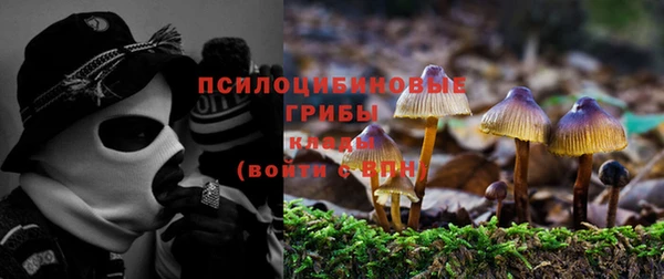 ГАЛЛЮЦИНОГЕННЫЕ ГРИБЫ Володарск