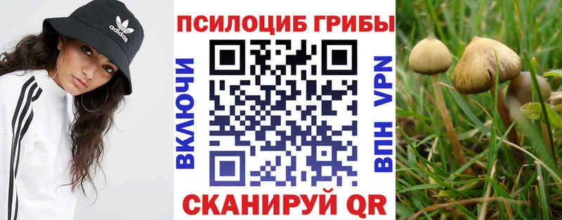 Псилоцибиновые грибы прущие грибы  Купить где  Игарка 